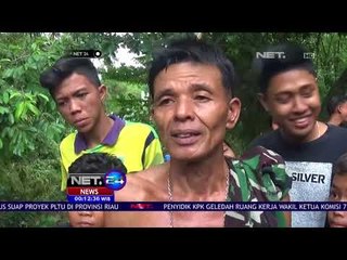 Penangkapan Buaya Yang Meresahkan Warga-NET24