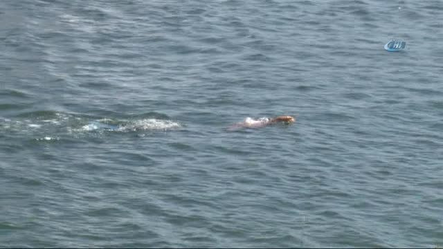 Beylikdüzü'nde 20'nci Avrupa Gençler Paletli Yüzme Avrupa Şampiyonası Gerçekleştirildi