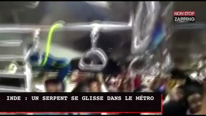 Inde : un serpent s'incruste dans le métro et sème la pagaille (Vidéo)