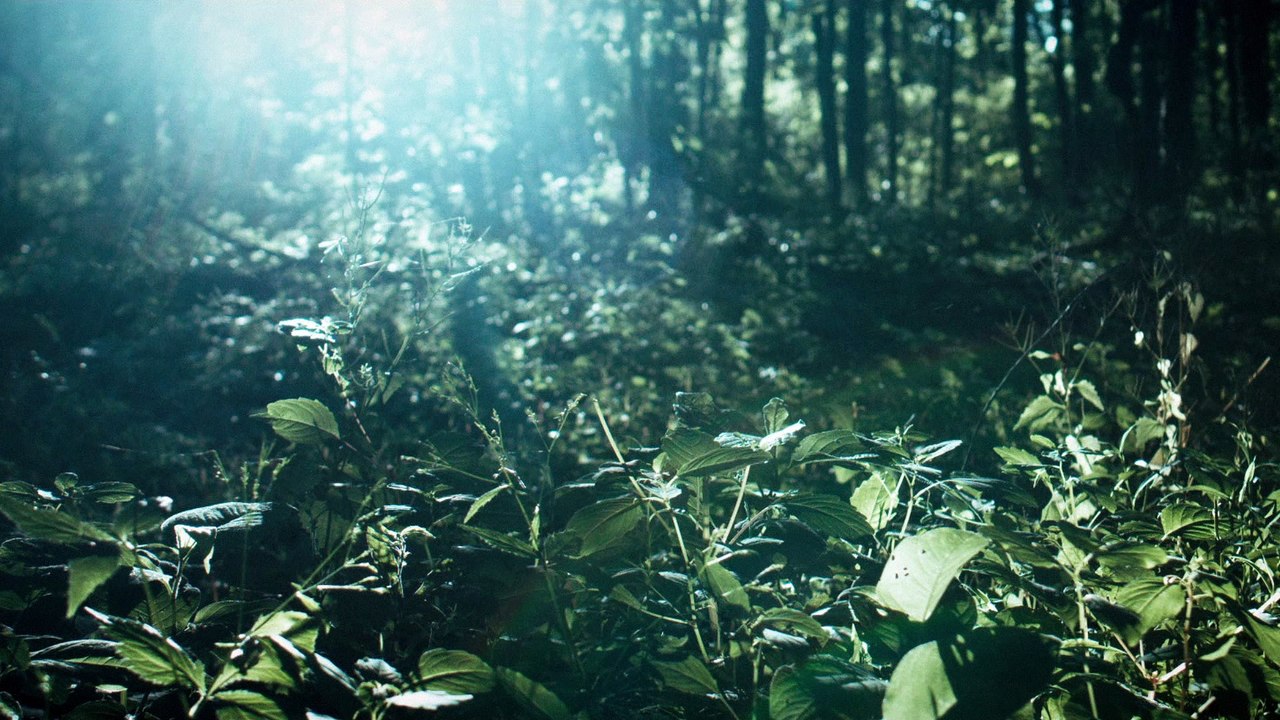 Director's Showreel Final