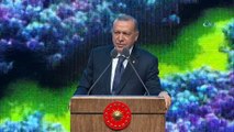 Cumhurbaşkanı Erdoğan: 'Buradan milletimize sesleniyorum, yastık altı dövizlerinizi, altınlarınızı çıkartın, gelin bunları TL'ye çevirin. Yerli ve milli direnişinizi tüm dünyaya karşı ortaya koyun'