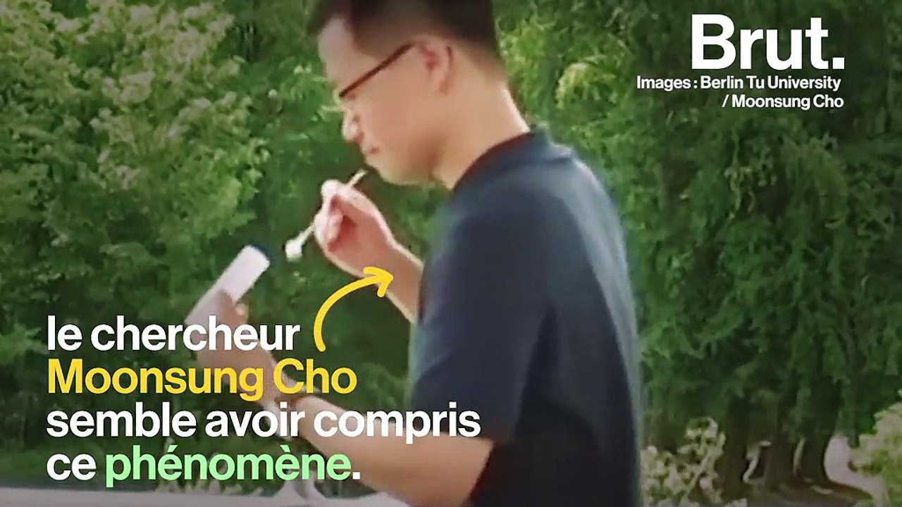 Mais comment les araignées font-elles pour voler ?