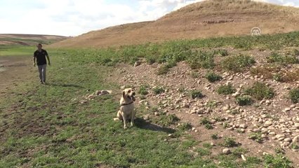 Adıyaman'da Suriyeli 3 Kız Kardeş Kayboldu (2)