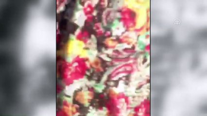 Aydın'da köpeğe sopayla vurulduğu iddiası