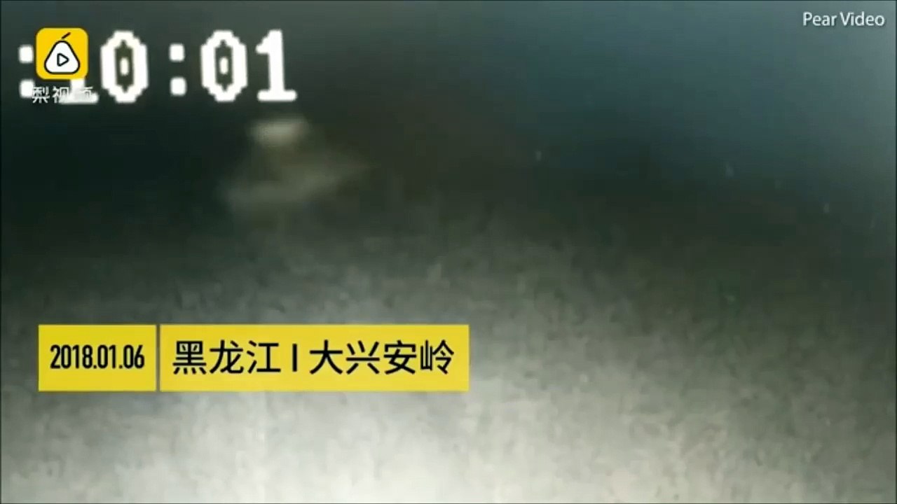 UFO filmed in a Remote Train Station on the Border Between China and Russia in 2018