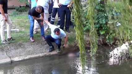 Yalova’da derede erkek cesedi bulundu