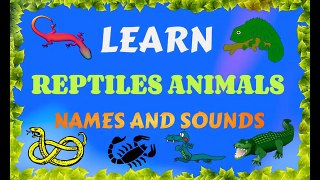 Learn Animals Names and Sounds| Learn Animals Names and Sounds for kids|Reptiles Animals N