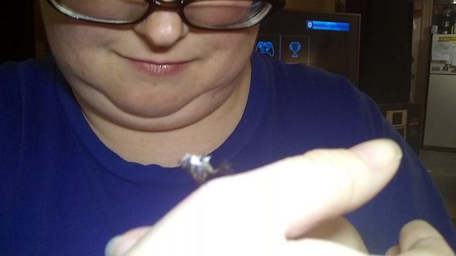 Spiny Orb Weaver Spider