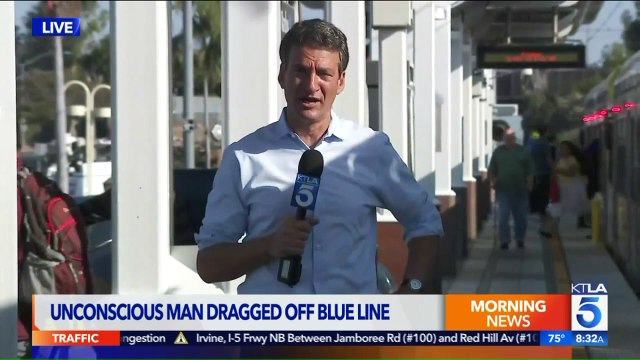 'Very Disturbing' Video of Unconscious Man Being Dragged Off Train Sparks Investigation