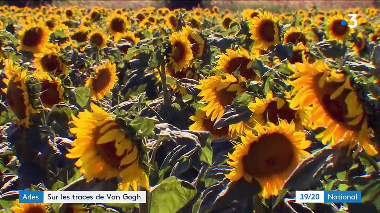 Arles : sur les traces de Vincent Van Gogh