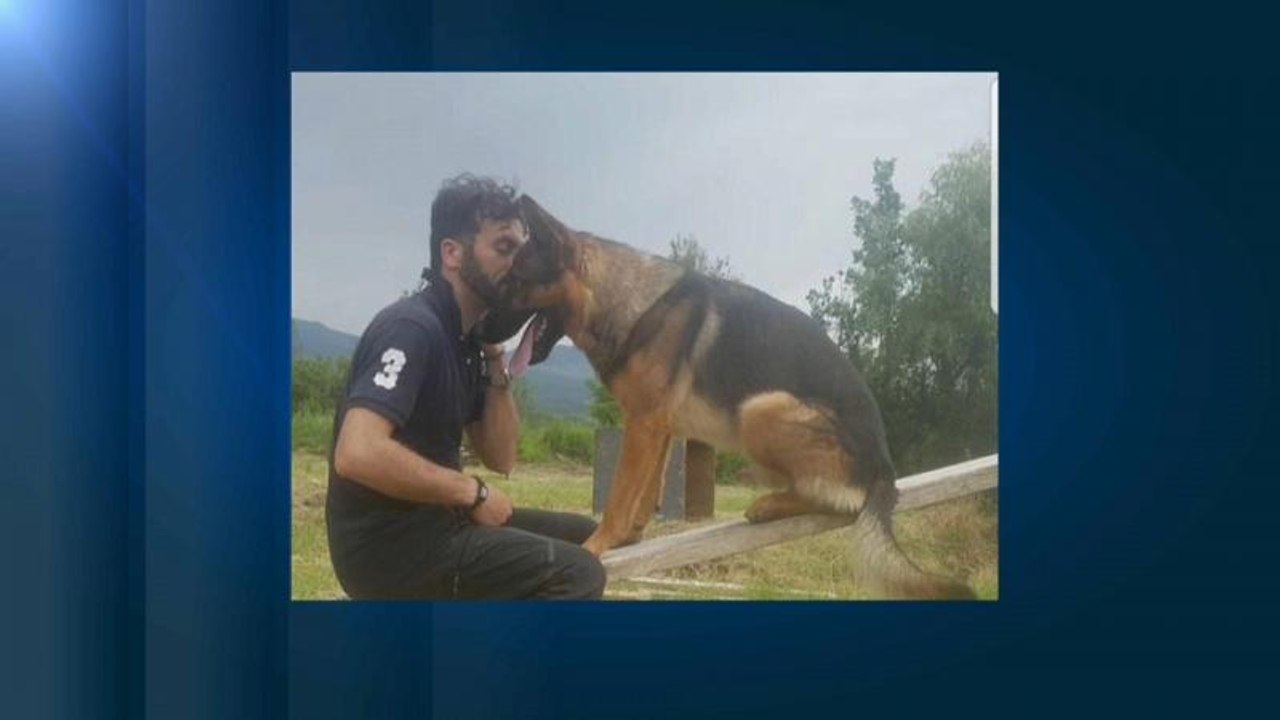 'Heldenhund' von Amatrice vergiftet