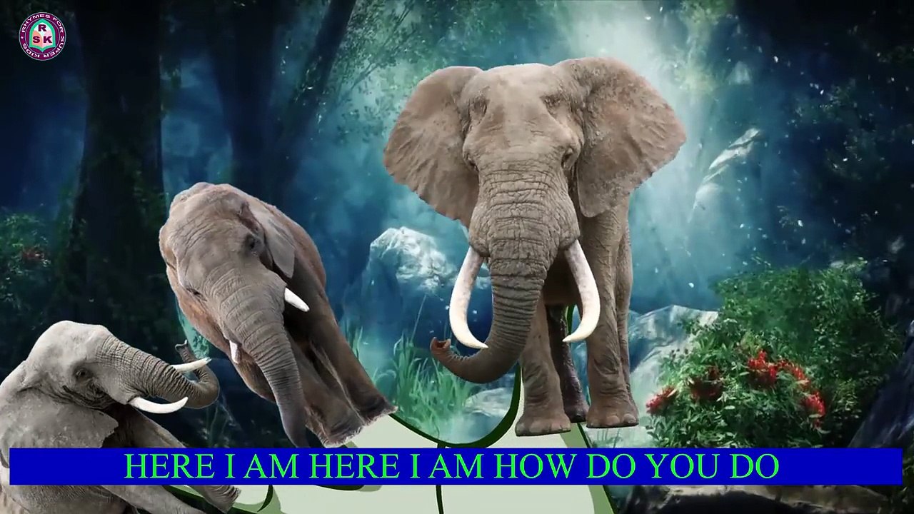 Elephant For Kids Finger Family Rhymes | Elephant Finger Family Children Nursery Rhymes