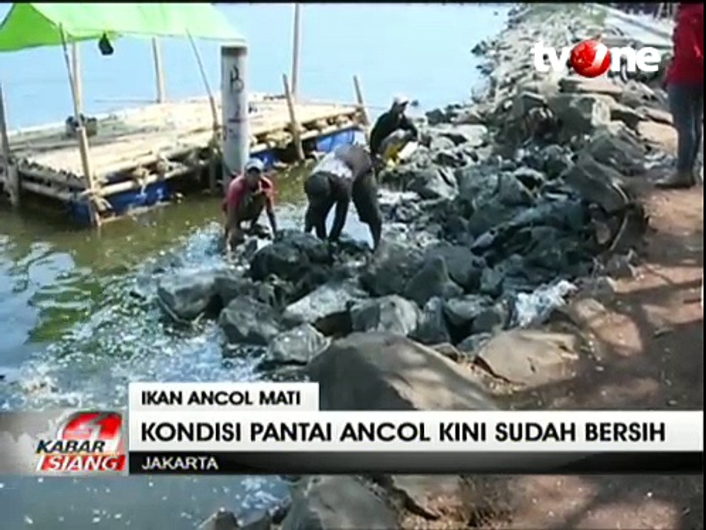 Pantai Ancol Sudah Bersih Dari Bangkai Ikan