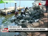 Pantai Ancol Sudah Bersih dari Bangkai Ikan