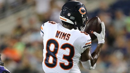 Bears rookie Javon Wims makes acrobatic catch for a big gain