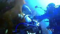 The friendliest seal; an extraordinary clip from some amazing dive footage filmed in the Isle of Man.  Thanks to Colin Peters for sharing this video with us; w