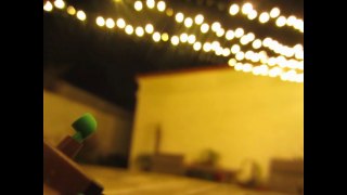 Lego Shrek Starry Night Scene