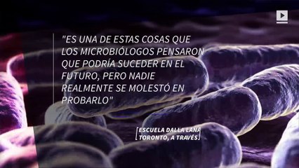 Bacterias encontradas en hospitales han desarrollado resistencia a los desinfectantes de manos