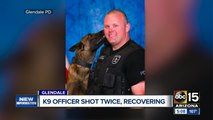 Glendale K-9 recovering after shooting in Phoenix