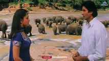 Sooryavansham - Part 5 _ Amitabh, Soundarya & Anupam Kher _ 90's Blockbuster Rom_HD