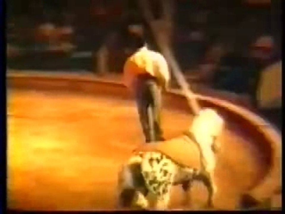 ENSAC 1989