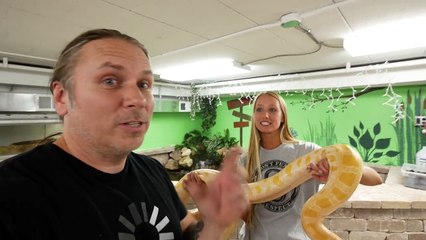 SHE's BACK!!! QUICK SNAKE UNBOXING!!! | BRIAN BARCZYK