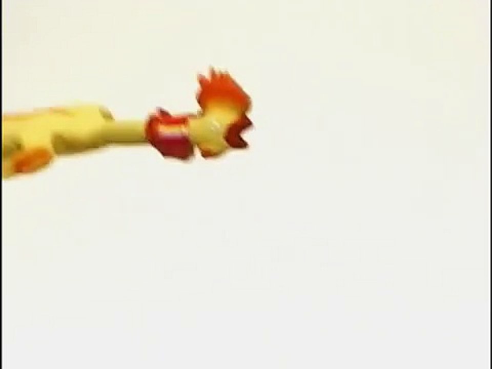 Vidéo pour animaux de compagnie chat et chien