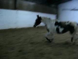 Décembre 2007 2 003