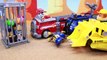 Paw Patrol Baby Pups Caged and Apollo Meets the Fire Breathing Dragon