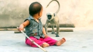 Monkey playing with child, very funny