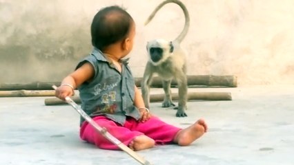 Monkey playing with child, very funny