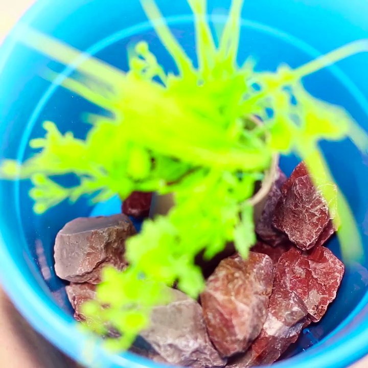 18 Magic Tricks That You Can Do. Full video:
