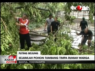 Puluhan Pohon Tumbang Akibat Puting Beliung di Bantul Yogyakarta