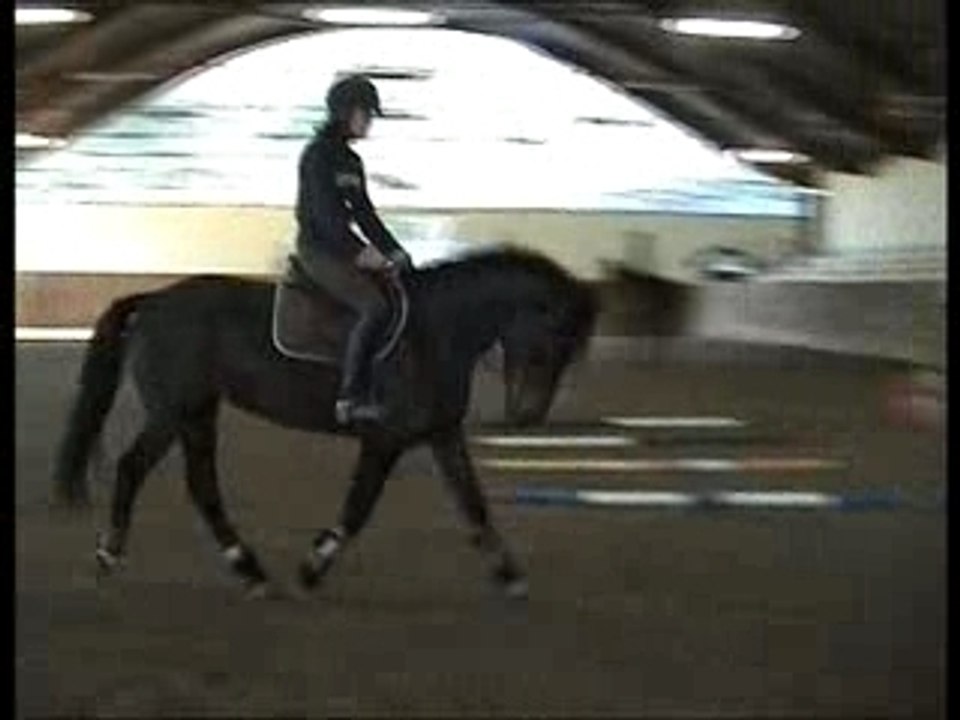 Litana trot assis dressage