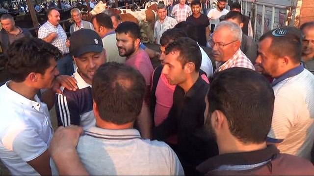 Aydın Hayvan Pazarı'nda kurban öncesi durgunluk