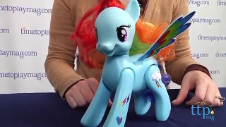 My Little Pony Flip & Whirl Rainbow Dash from Hasbro