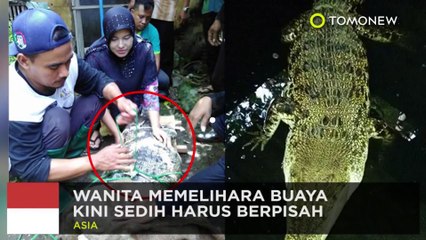 Descargar video: Buaya dan manusia hidup berdampingan di desa ini - TomoNews