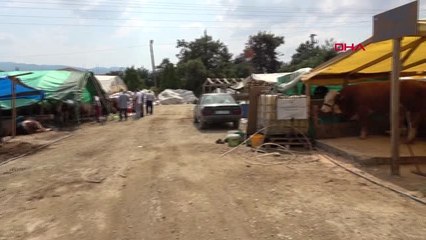 Bursa 1,5 Tonluk 'Pilot', 25 Bin TL'den Alıcı Bekliyor