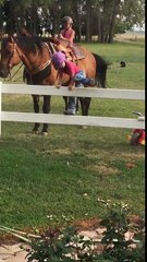Une petite fille trouve comment monter sur un cheval