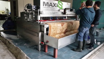 tam otomatik halı yıkama makinası,halı sıkma makinası maxis