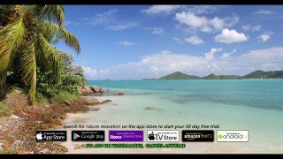 CARIBBEAN LAGOON BEACH 4K 1 HR Nature Relaxation™ Scene/Screensaver Antigua
