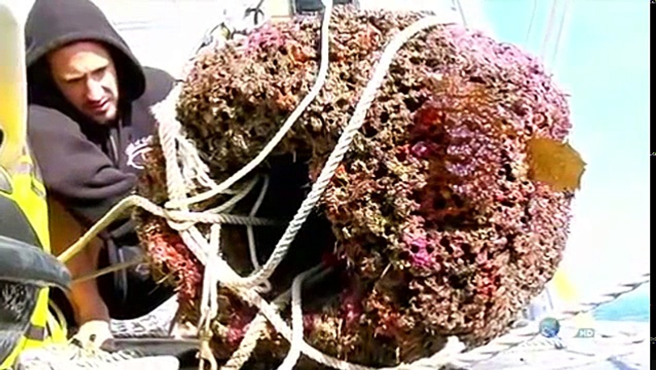 Weird Or What S01 E06