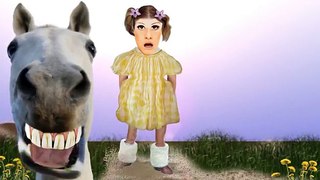 Little White Horse Animal Sounds and Song for Kids to Learn