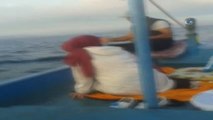 Yunuslar Balıkçı Teknesiyle Yarıştı... O Anlar Kameralara Böyle Yansıdı