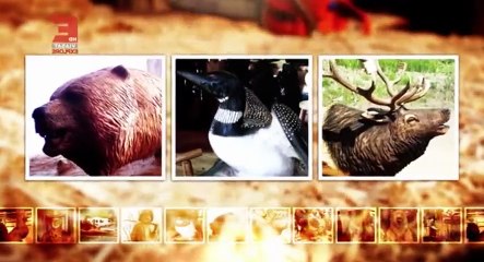 Carver Kings S01  E06 Locking Horns