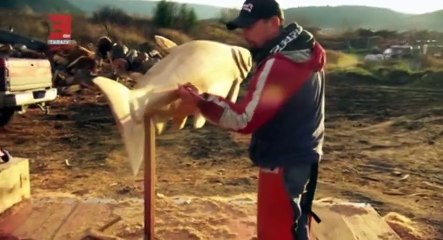Carver Kings S01  E04 Pain of Thrones