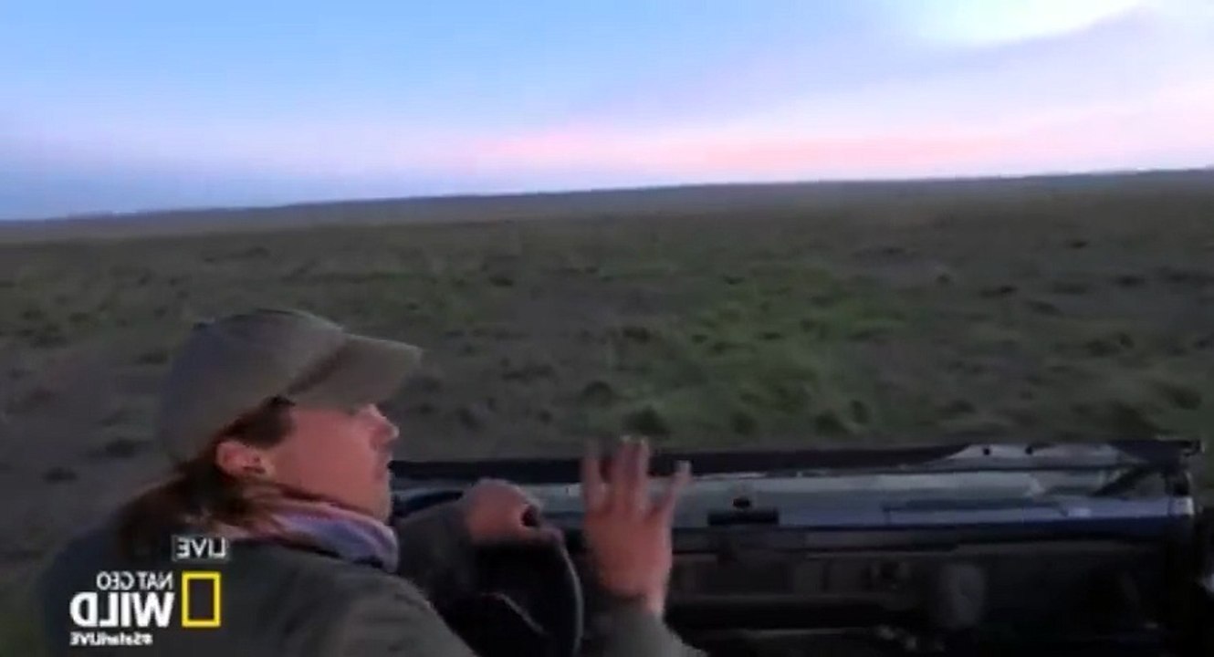 Safari Live Migration S01  E13 S 1, E 13 - Part 05