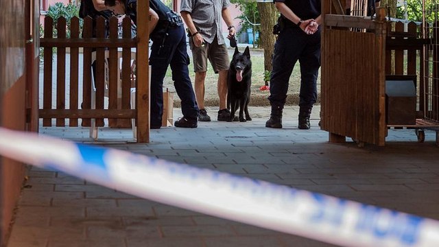 Убийство за игрушку