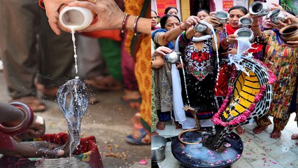 Download Video: Nag Panchami Puja Vidhi: नाग पंचमी पूजा मुहूर्त और पूजा विधि | Boldsky