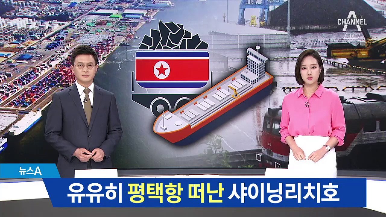 유유히 평택항 떠난 샤이닝리치호…제재 규정 느슨?